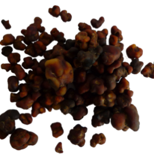 Magic Truffles Mexicana