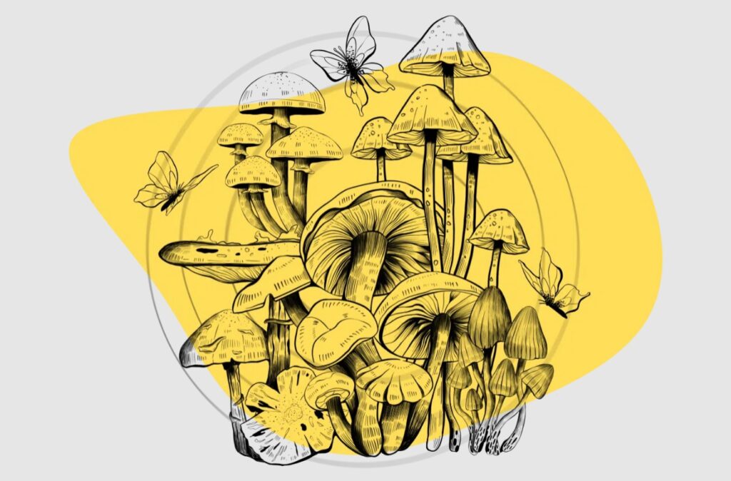 The Worlds Trippiest Mushroom and why