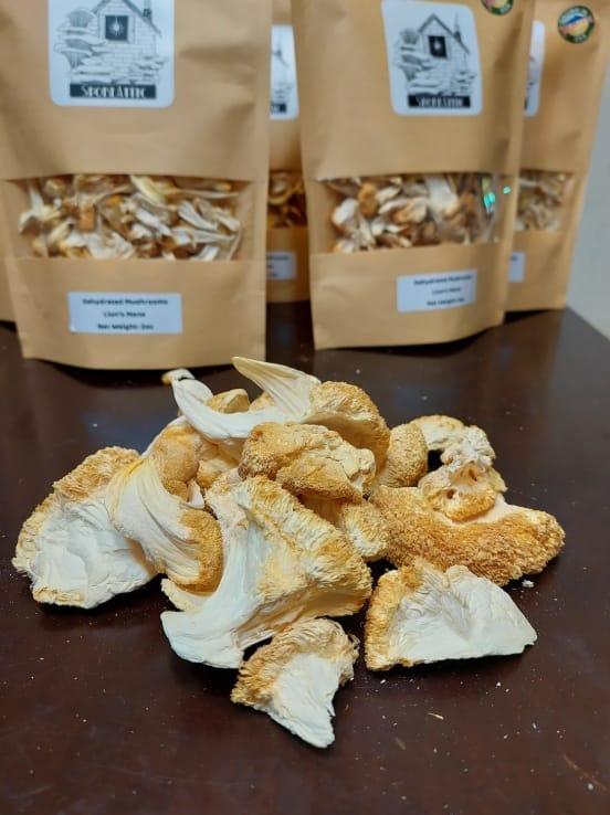 Order Lion`s Mane Mushrooms in Sydney Australia